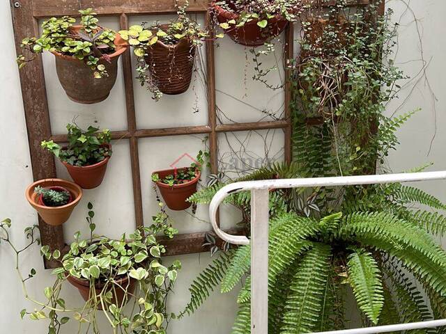 Casa para Venda em São Paulo - 4